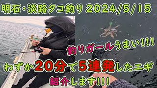 【明石・淡路タコ釣り】釣りガールが20分で5連発したエギ紹介をします!!!