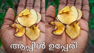 ഇത് ആപ്പിൾ ഉപ്പേരി............. Apple chips #shorts #viral #malayalam