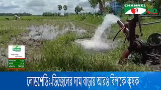 নড়াইলে পানি স্বল্পতায় আমন ধান চাষ ব্যাহত