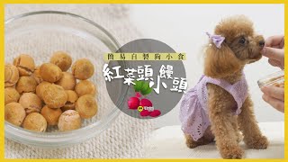 【毛城城廚房】簡易自製狗小食 紅菜頭小饅頭｜寵物奶食譜｜MocityHK