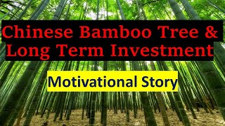 The Story of Chinese Bamboo Tree and Long Term Investment | Never Give Up | Life Changing Motivation