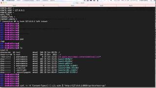 Bash Shell Shock vulnerability: Remote Command Execution