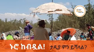 ኑሮ ቀን በቀን እየተወደደ ነው፣ ታዲያ ምን ይሻላል?