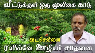 agriculture and organic farming chennai herbal forest - rare herbs of tamil nadu under one house