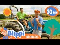 Belajar Makan Sehat Di Peternakan Tanaka | Blippi Bahasa Indonesia - Video Anak | Petualangan Blippi