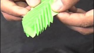Finding Physics in Everyday Objects