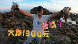 45天没来的底潮200平巨坑，发现一只超大猛货，大挣1300元赚翻了