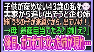 【感動する話】子供が産めない43歳独身の私を家から追い出そうとする姉夫婦「うちの子がこの家継ぐんんだから、出てってよｗ」→実家の母「遺産目当てかい？」姉「え？」【いい話・朗読・泣ける話】