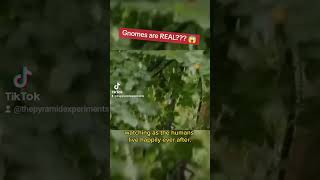 Gnomes Are Real!?