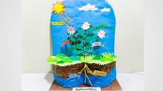 Photosynthesis 3D Model For School Project | Science Project |