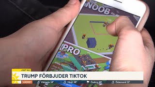 Därför kan TikTok vara en risk: ”Filmer från allas hem” - Nyhetsmorgon (TV4)