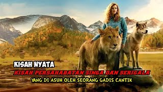 KISAH PERSAHABATAN YANG MENGHARUKAN ANTARA SERIGALA DAN SINGA || ALUR FILM THE WOLF AND THE LION