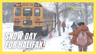 Halifax Gets a Snow Day as Snow Swamps the Region