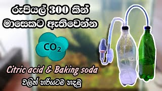 How to make a CO₂ System for Your Aquarium : Citric Acid & Baking Soda වලින් tank එකට CO₂ හදමු