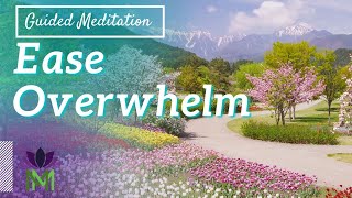 Taming Overwhelm Meditation: Finding Resilience Within | Mindful Movement