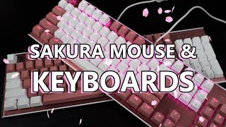 Sakura all over the place with Cooler Master!