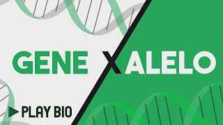 Gene x alelo