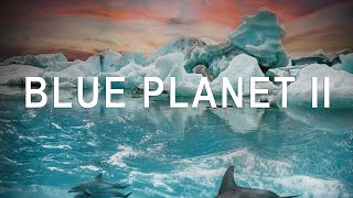 BLUE PLANET II - The Blue Planet By Hans Zimmer | BBC One