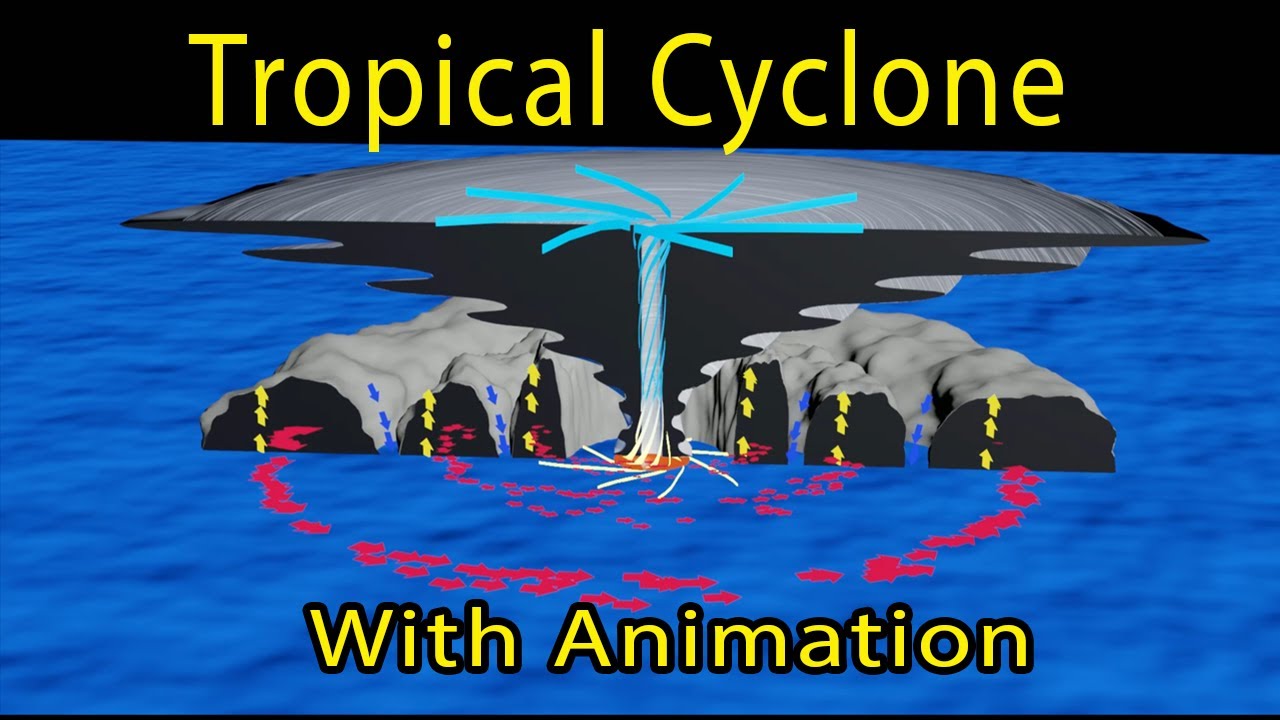 Tropical Cyclone Formation