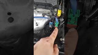 citroen c4 crankshaft position sensor location