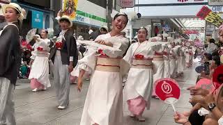 2023年高知よさこい祭り2日目 帯屋町筋 りぼん 結心