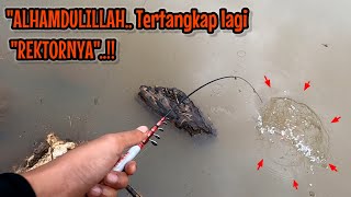 ALHAMDULILLAH ‼️ REKTOR NAHOL DI LOKASI INI TERTANGKAP LAGI || mancing ikan red devil NAHOL MANIA