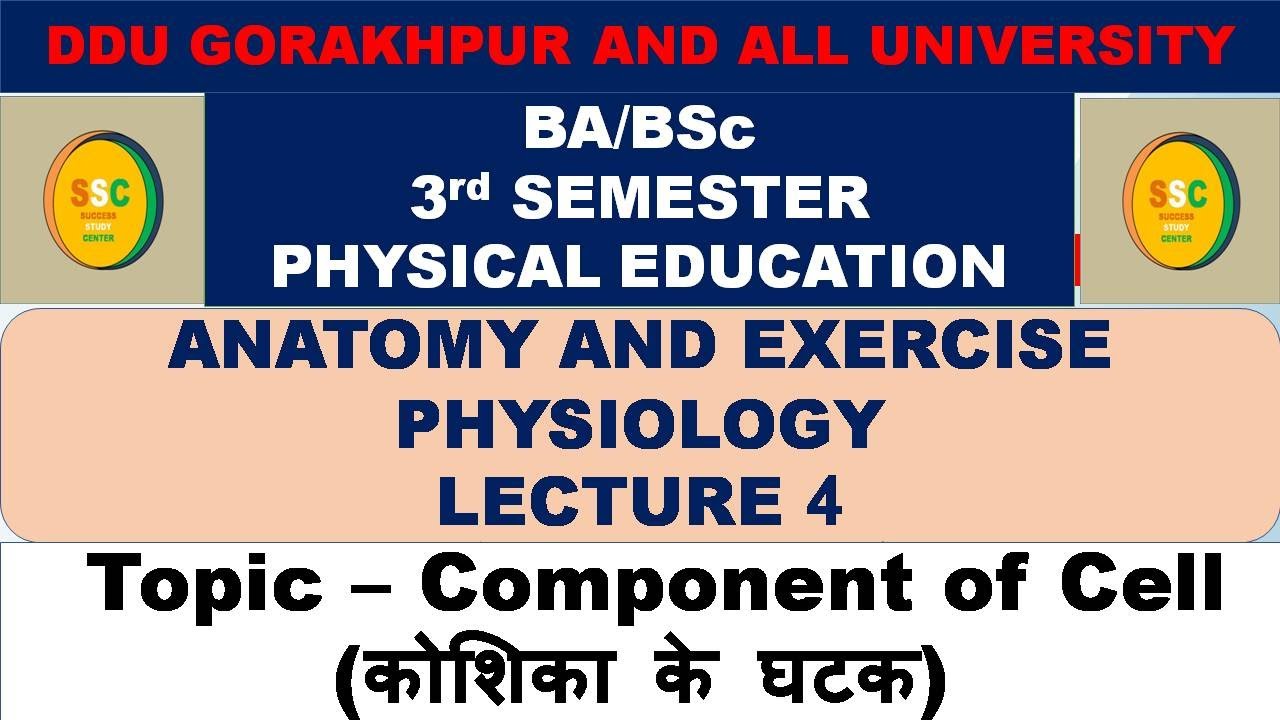 Ba 3rd Semester Physical Education | Anatomy And Physiology | Ba 3rd ...