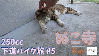 250cc下道バイク旅 #5 「ぬこ寺(福井 猫寺a.k.a 御誕生寺)」SW-1 モトブログ