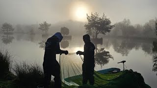 fish species separate into different parts of the lake?