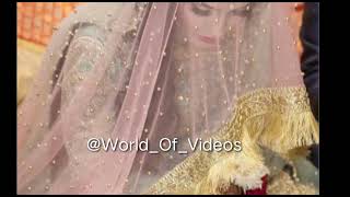 Qaboos hai | MIL JATE HAI LOG CHALTE HUE | Wedding song | Nikah song