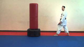 Back Kick ( Ushiro Geri) - Warren Levi Karate