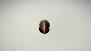 Sillimanite Cat’s Eye Gemstone 1.82ct India /AK01459