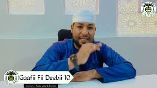 Sagantaa Gaafii fii Deebii IMO 10 KUTAA 46#oromo #nasheed #lammii