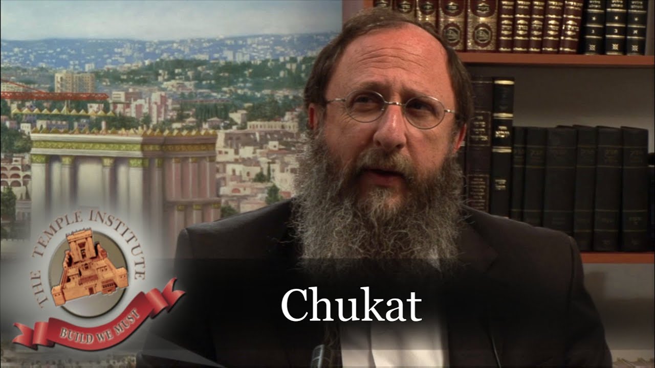 Weekly Torah Portion: Chukat (The Red Heifer) - YouTube