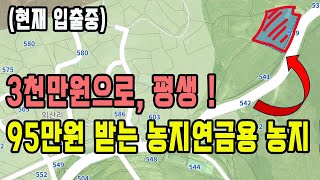 (농지연금용 농지 분석) 3천만원으로 평생 95만원 받을 수 있는 농지!! / 농지연금으로 월 300 받는 방법 /연금 통계 /토지경매 /농지연금 월 600만원 받는 노하우 대공개