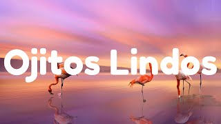 Ojitos Lindos - Bad Bunny (Letra/Lyrics) ft. Bomba Estéreo / Manuel Turizo