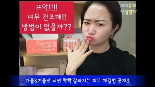 피부가 건조하고 땡길땐!!인셀덤이쥐~~!!!