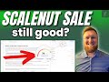 Scalenut Easter Sale: Is this Tool Still Amazing?