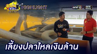 เลี้ยงปลาไหลน้ำใสเงินล้าน จ.ราชบุรี | Highlight | อนุวัตทั่วไทย | EP 125 | one31