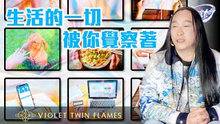 【莫明其妙76】如何在登出開悟與日常生活取得平衡？想登出開悟需要捨棄平常的生活嗎？｜雙生紫焰