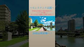 鹿児島市　新築マンション　キラメキテラス近く　セカンドハウス　1LDK