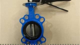 DN200 CF8M wafer butterfly valve