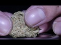 Williams Wonder (Rare Strain Reviews!)