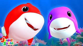 Laughing Baby Shark Song, Preschool Nursery Rhymes and Kids Songs