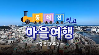 [설특집] “어서오우야 여기는 명주동이래요” 동해선 타고 떠나는 강릉여행