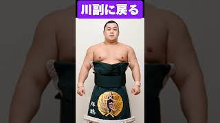 大相撲夏場所 番付発表 輝鵬は川副に四股名戻す??　