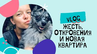 VLOG: жесть, откровения и новая квартира