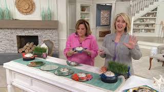 Ultimate Innovations Glass Tabletop Turtles on QVC