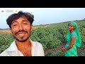 રાજી તું રેવાદે તને નય આવડે. .... 🤔પુરા ના પસોર villagelife farmer