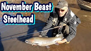 Ontario Steelhead - Fresh run November Chrome 2024